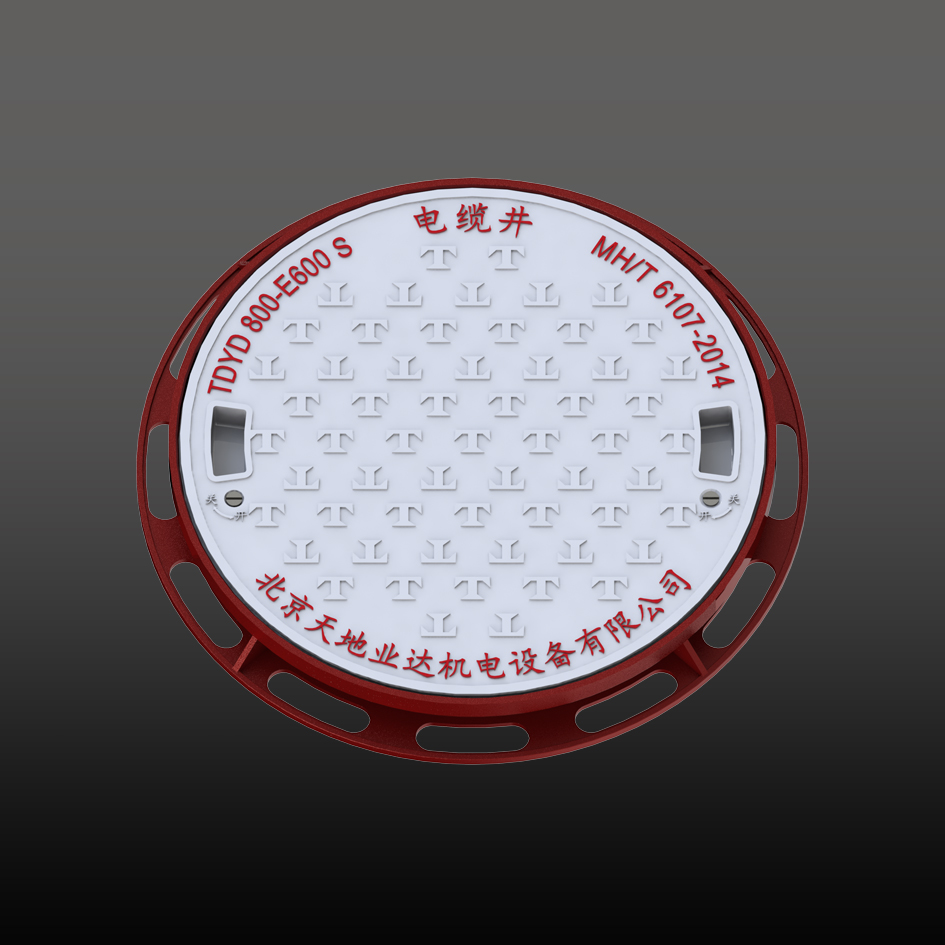 TDYD 800-E600 S 锁定井盖